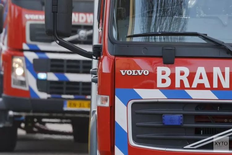 Drie auto&#39;s van Stadstoezicht uitgebrand