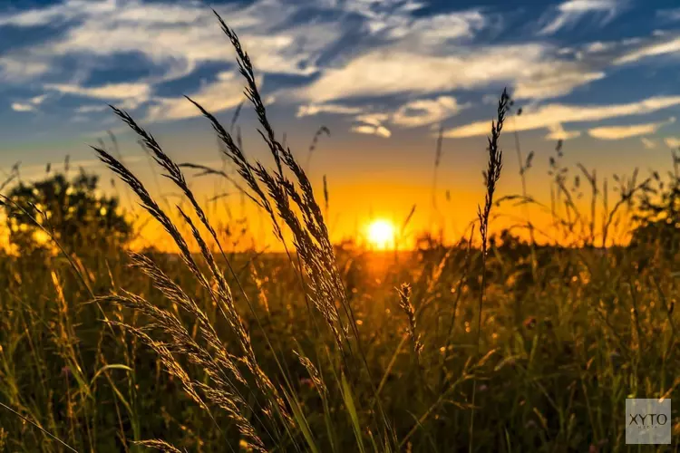 Noordelijke wind brengt verkoeling, maar komende week blijft grotendeels droog en zonnig