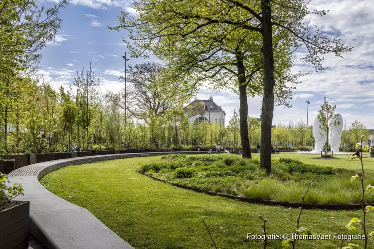 Wandelend bos onderweg naar definitieve plantlocaties