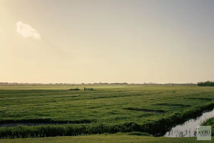 Webinar over de toekomst van het landelijk gebied in Fryslân